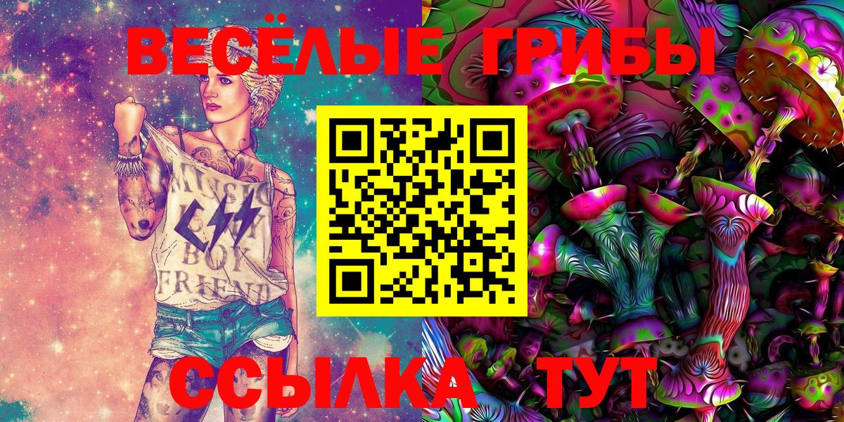 Галлюциногенные грибы Psilocybe Новодвинск