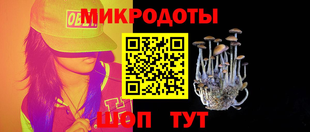 Новодвинск  Псилоцибиновые грибы Psilocybine cubensis  Вход с VPN 
